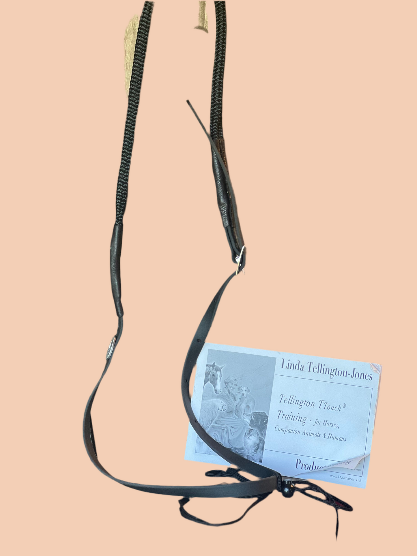 Linda Tellington Jones Balance Reigns & Lead